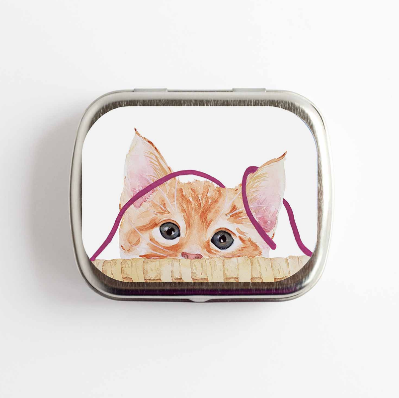 Kitten Stitch Marker Tin