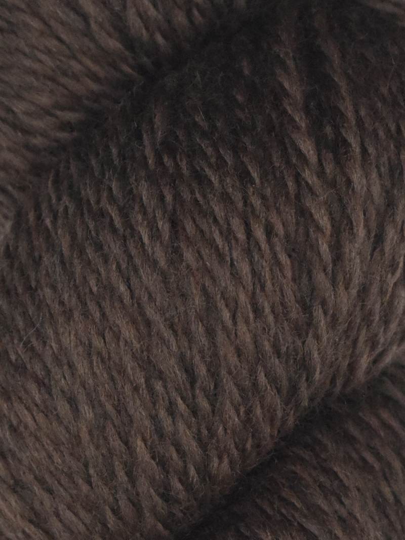 JUNIPER MOON FARM | RAMBOUILLET - Cinnabark #1008