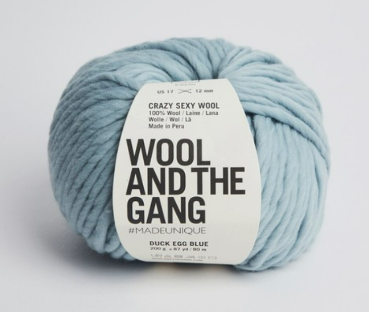 Crazy Sexy Wool - Duck Egg Blue